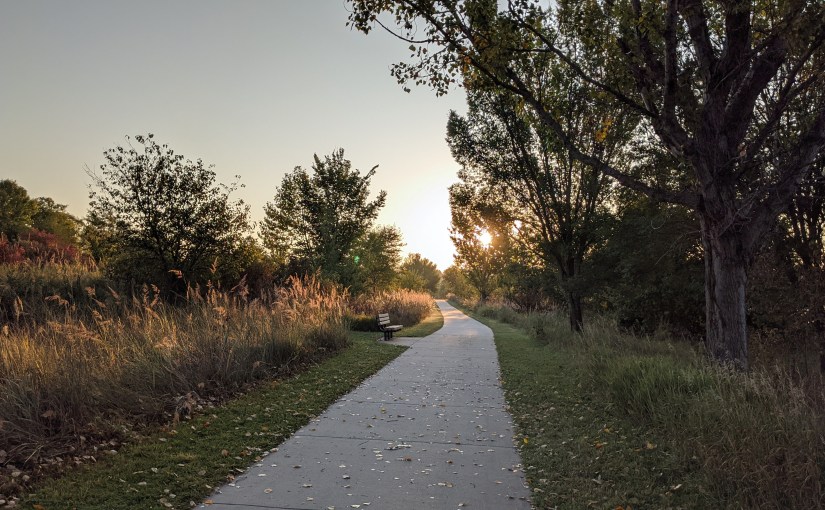 The Path that Curves to&nbsp;Mystery