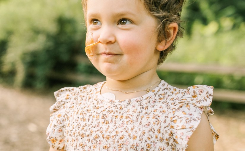 A Time for Everything:  the Life Cycle of Cosmos and&nbsp;Butterflies