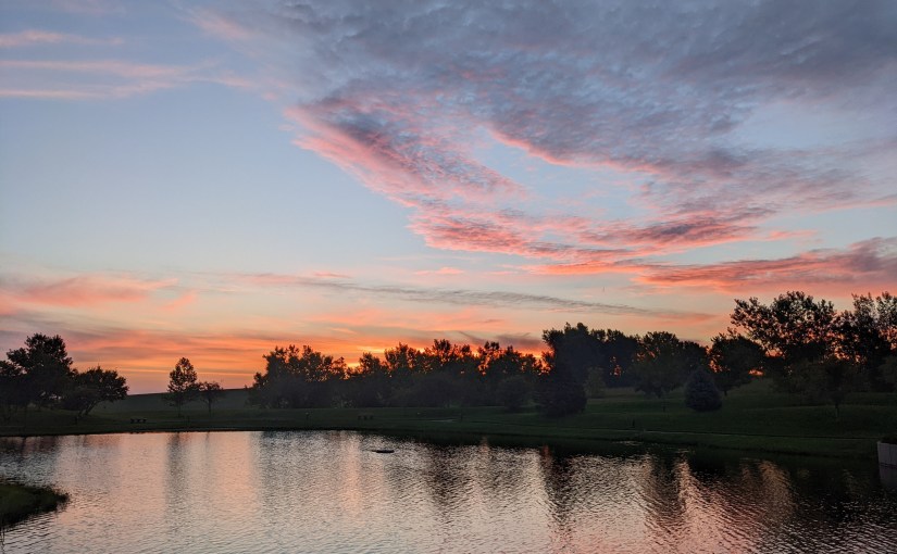 Becoming Curious, Finding&nbsp;Grace